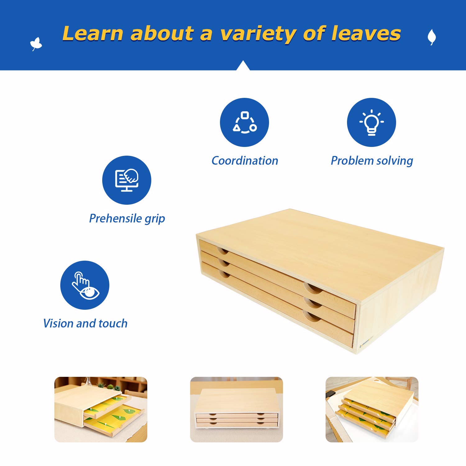Montessori Botany Cabinet - Wooden Plant Puzzle for Kids, Educational Learning Toy for Preschool Classroom & Homeschool (Perfect for Nature Study, Science Activities)