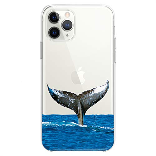 Ocean Whale