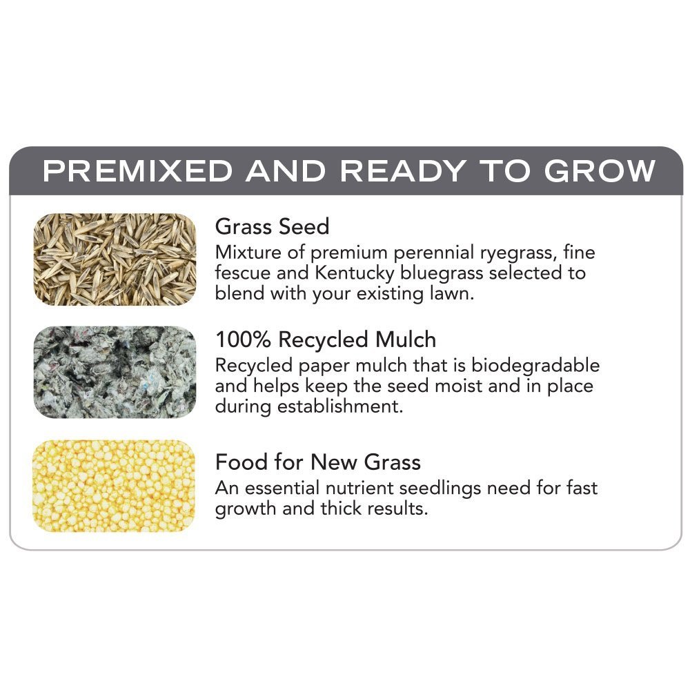 Scotts PatchMaster Sun & Shade Lawn Repair Mix - 4.75 lb Bag with Grass Seed, Fertilizer & Mulch for Fast Lawn Repair - Perfect for Bare Spots, Dog Damage & High Traffic Areas in Yards
