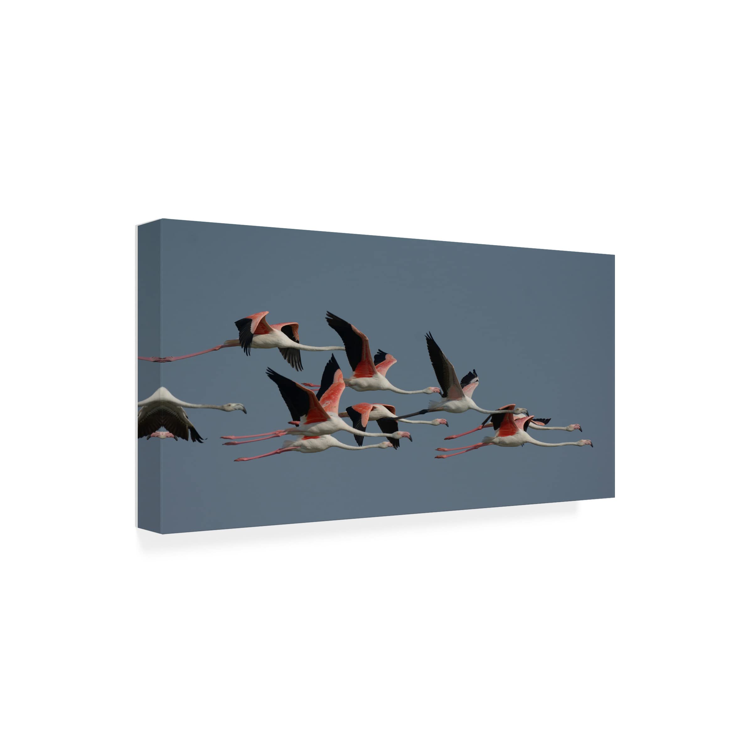 Flamingos Canvas Wall Art by Ahmet YILMAZ - Handmade Tropical Bird Painting for Living Room, Bedroom & Office Decor