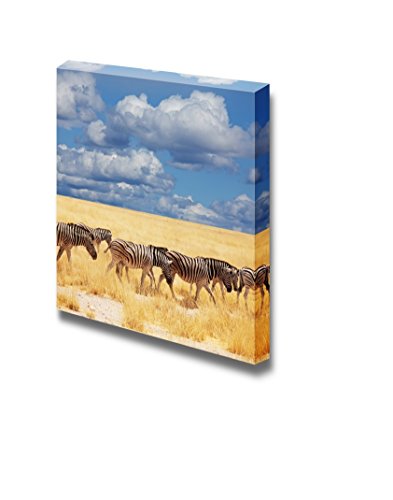 Zebras