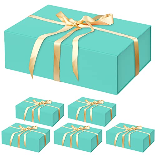 6 Pack Tiffany-13.8x9x4.3