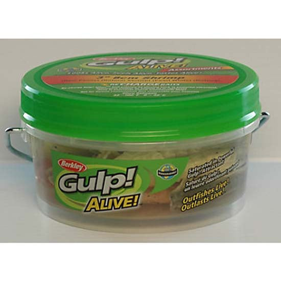 Berkley Gulp Alive Shrimp 11oz Bucket - Premium Saltwater Fishing Bait for Trout, Redfish & Flounder - Ideal for Kayak Fishing & Offshore Angling