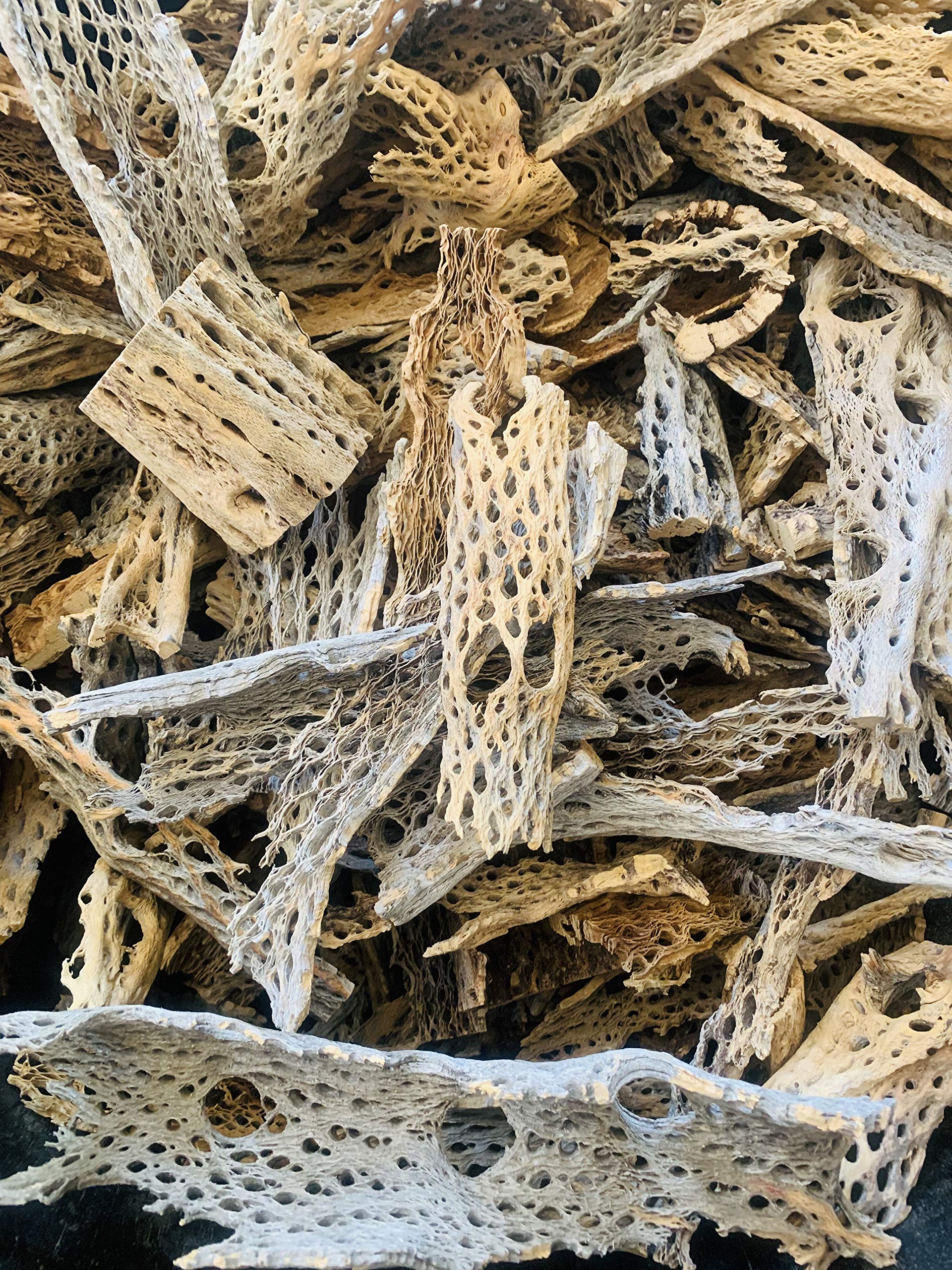 Premium Teddy Bear Cholla Wood Shards 1/2-13 inch - Natural Aquarium Decor for Shrimp, Biofilm, Fish Tanks, Isopod Habitats & Bioactive Terrariums - Bulk 5lb Wholesale Craft Wood Pieces (Perfect for DIY Vivarium Setups & Aquatic Ecosystems)