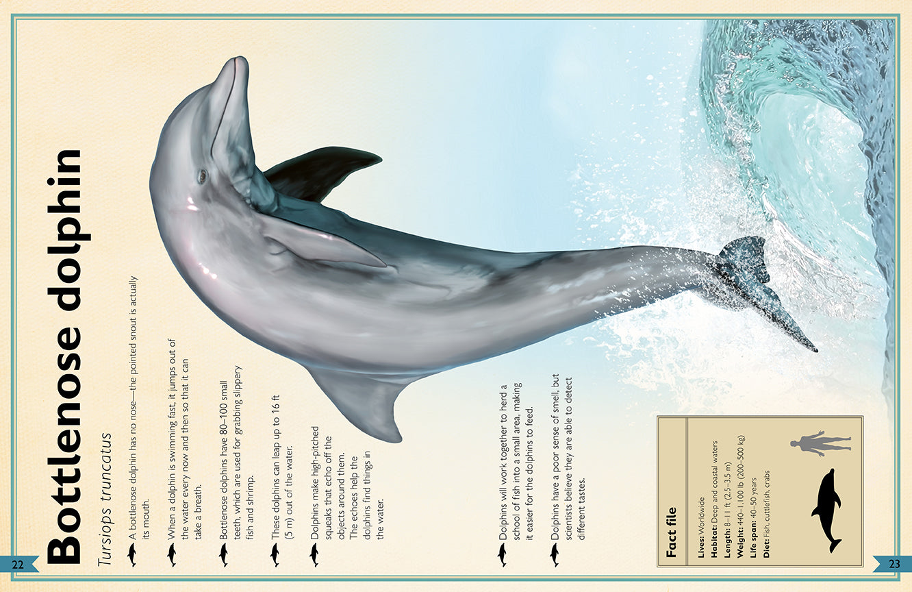 The Magnificent Book of Ocean Creatures - Marine Life Encyclopedia for Kids & Adults | Perfect for Homeschooling, Classroom Learning & Ocean Lovers