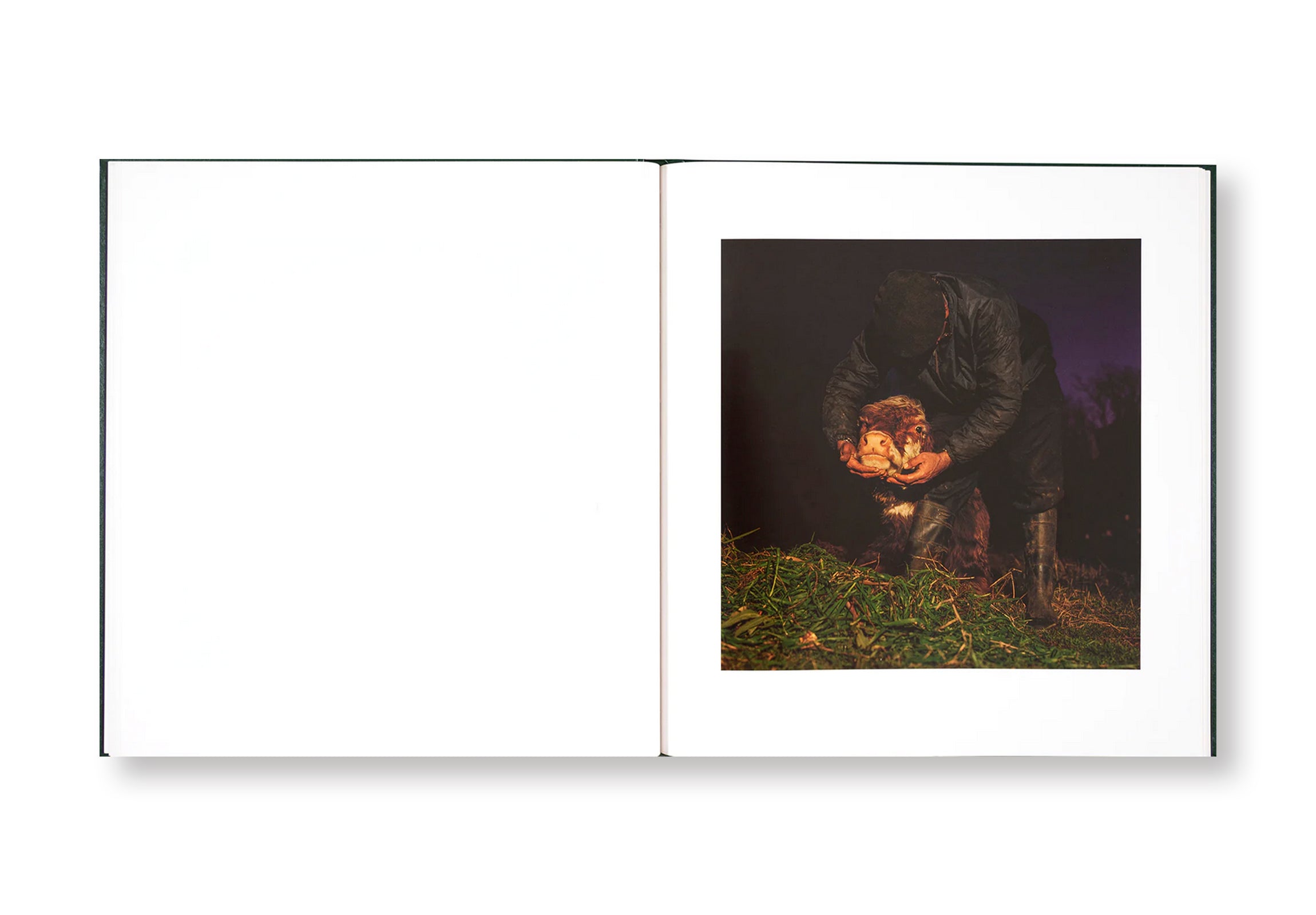 ON THE SIXTH DAY by Alessandra Sanguinetti - Photography Book, Art Book, Contemporary Photography - Perfect for Art Lovers, Photography Enthusiasts, and Coffee Table Decor