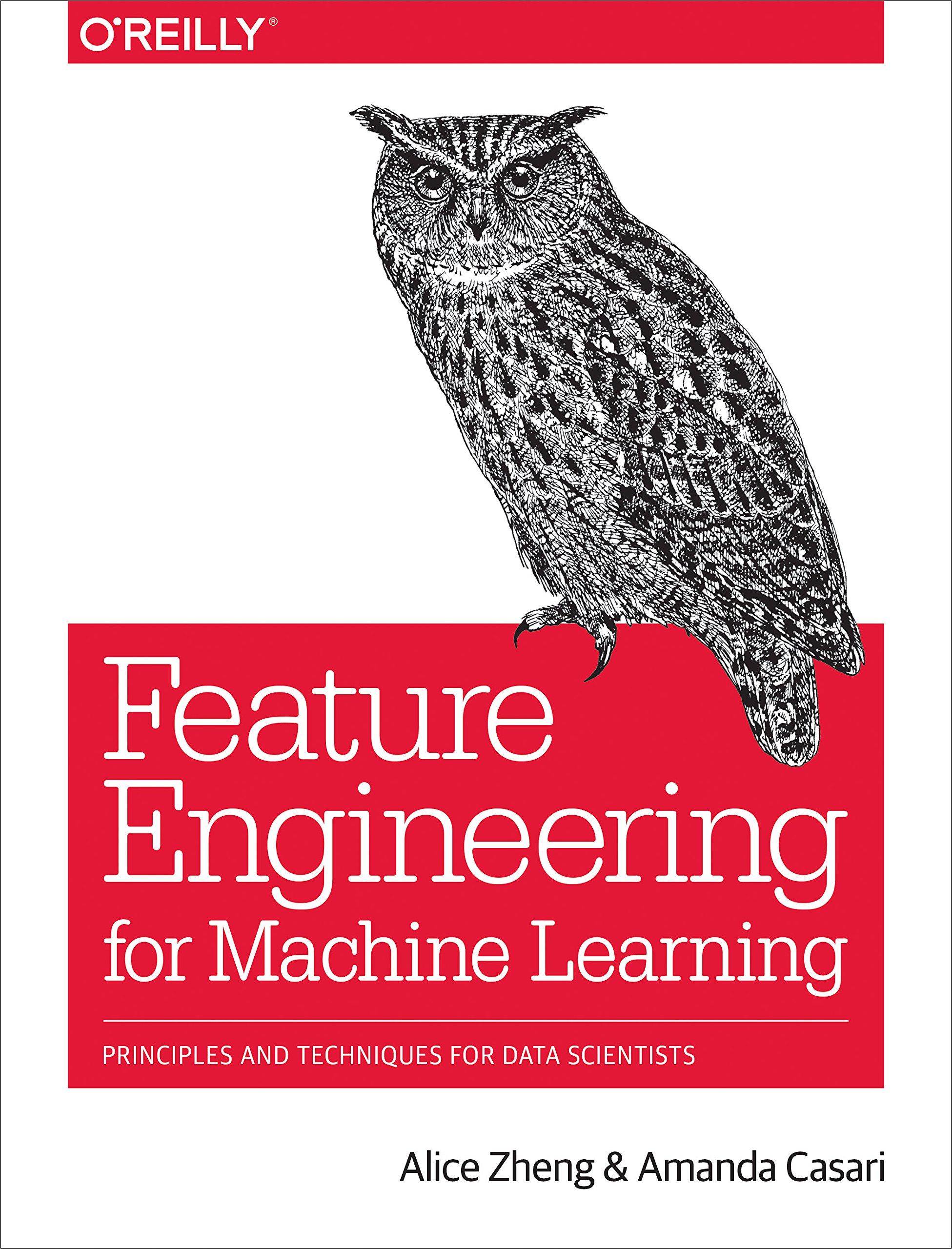 Feature Engineering for Machine Learning: Principles & Techniques for Data Scientists | Improve ML Model Performance | Data Preprocessing & Predictive Analytics
