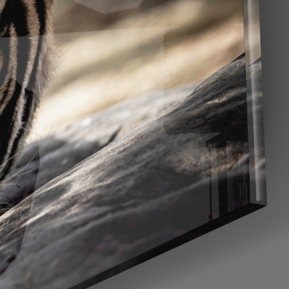 The Tiger - Premium Tiger-Themed Home Decor & Gifts for Jungle Safari Enthusiasts - Perfect for Animal Lover's Bedroom, Nursery, or Office Decor