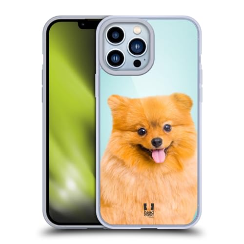 Pomeranian Dog