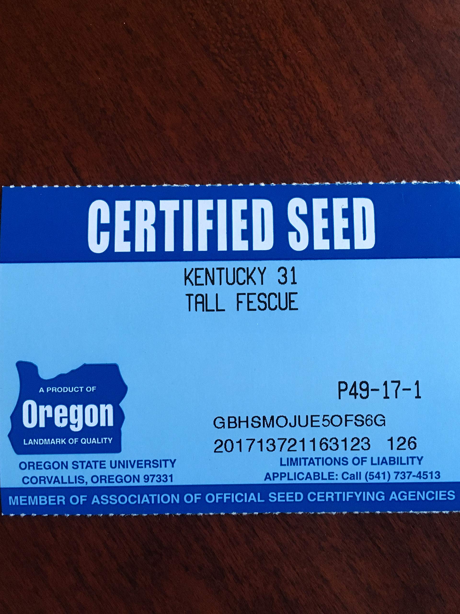 Kentucky 31 K31 Tall Fescue Grass Seed by Eretz - 25lbs | State Certified, No Fillers, No Weed Seeds | Drought-Resistant Lawn & Pasture Grass for Home Landscaping, Sports Fields & Erosion Control
