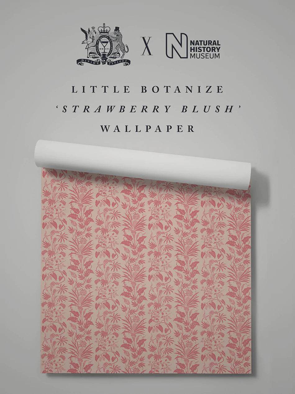 Little Botanist Wallpaper Sample - Peel & Stick Removable Wallpaper for Nursery, Bedroom, Office - Floral Botanical Design - Easy DIY Home Decor