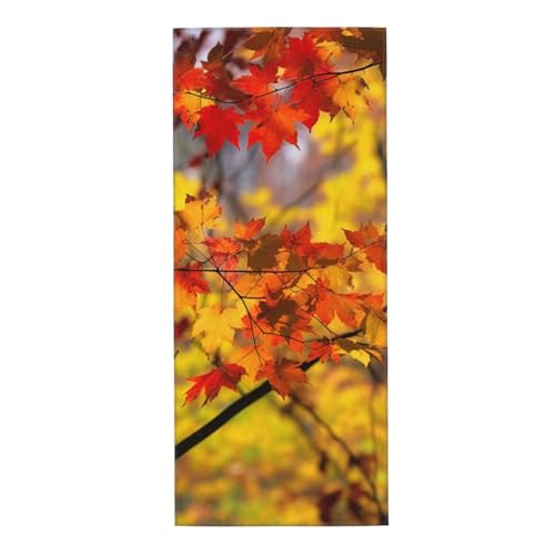 Autumn Maple Leaves