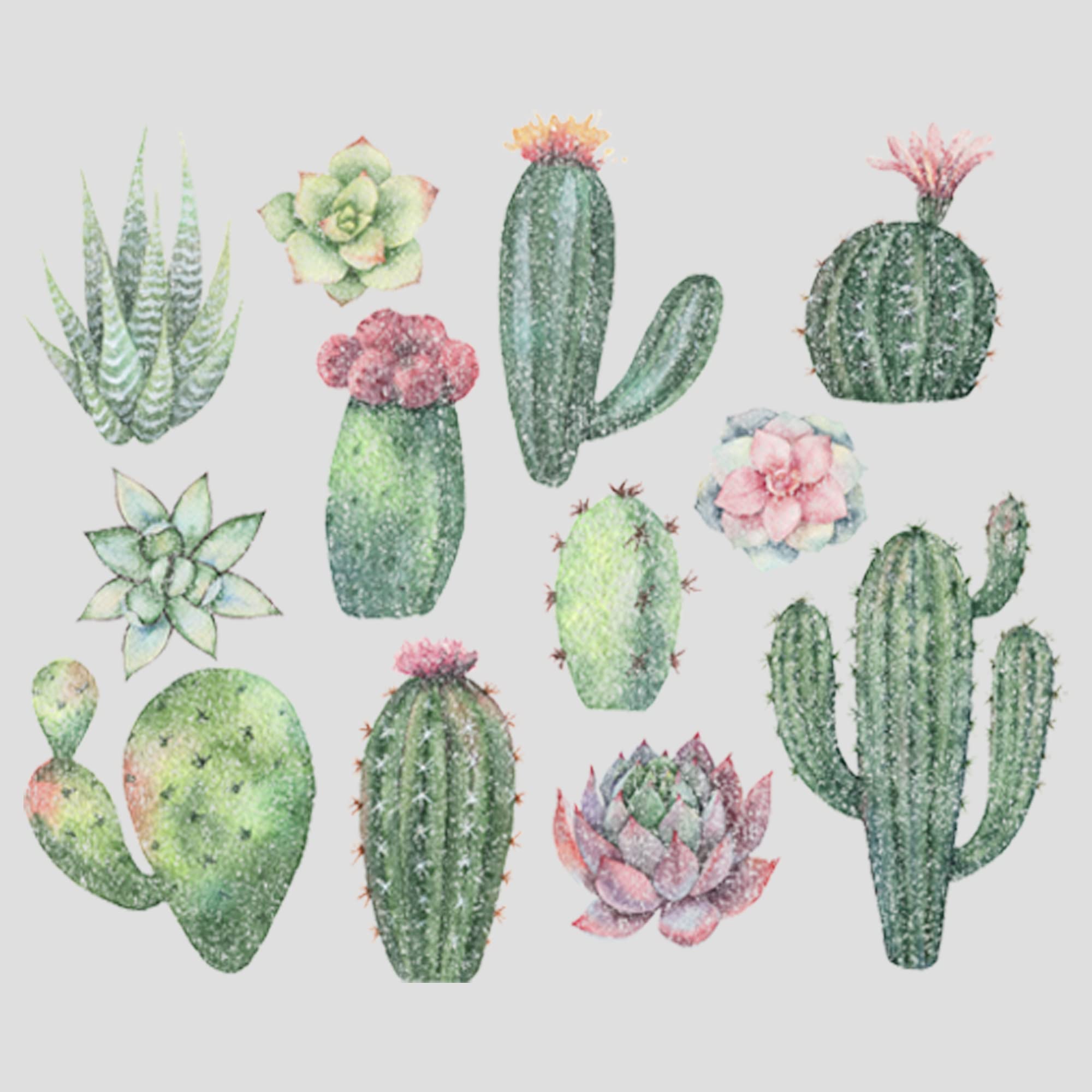 Women's Watercolor Succulents Tank Top - Gym & Summer Wear
