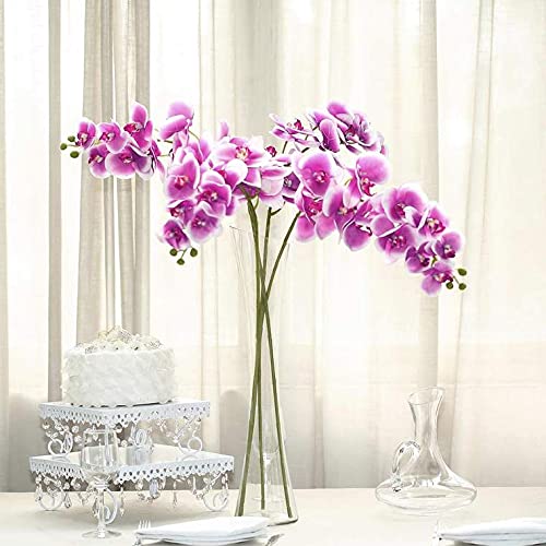 White/Purple