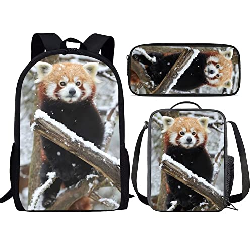 Snow Red Panda