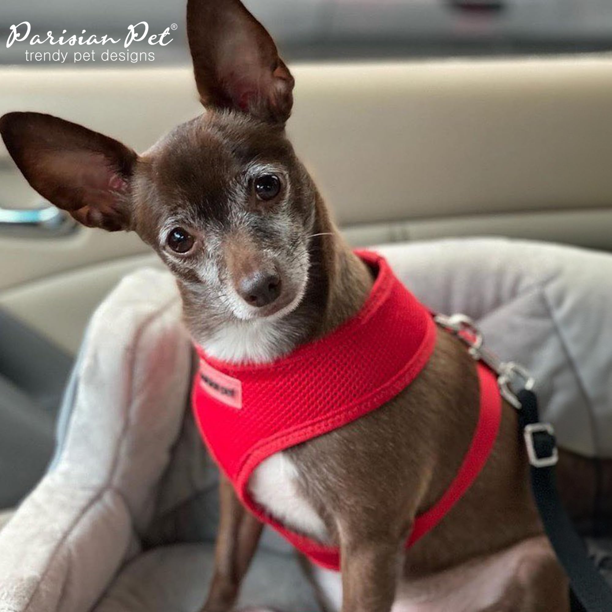 Parisian Pet Dog Harness - Adjustable Red Mesh No-Pull Vest for Small Dogs - Breathable Cooling Harness for Walking, Running & Hiking - Puppy Harness Size S - Perfect for Outdoor Adventures & Daily Walks