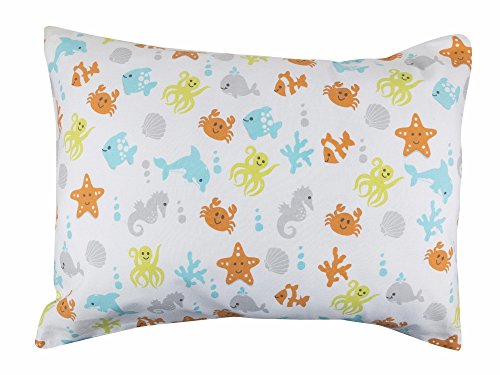 Ocean Animals