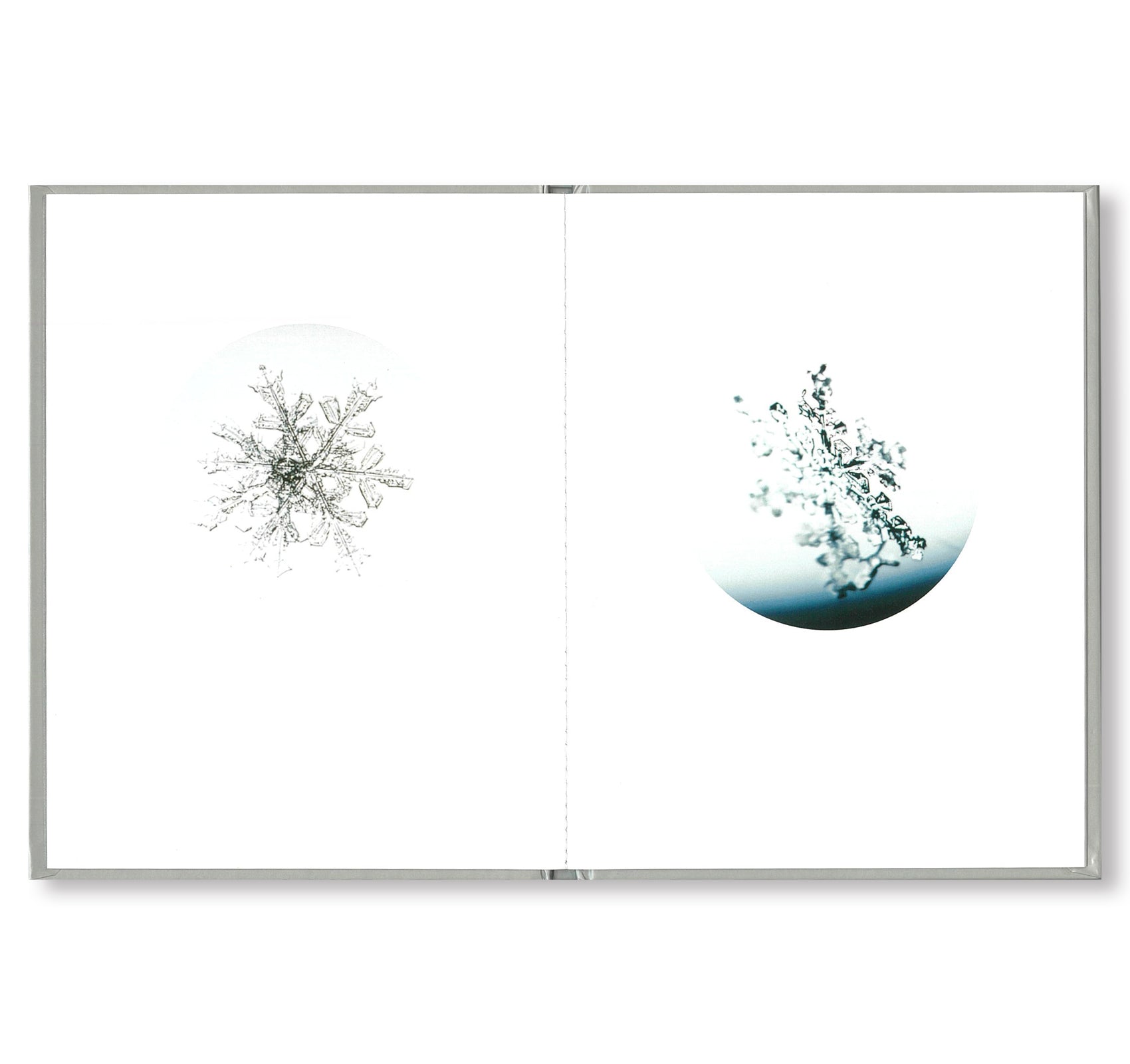 ONE PICTURE BOOK #80: SNOW LETTER by Risaku Suzuki - Japanese Photography Art Book for Collectors, Perfect for Home Decor & Gift Giving
