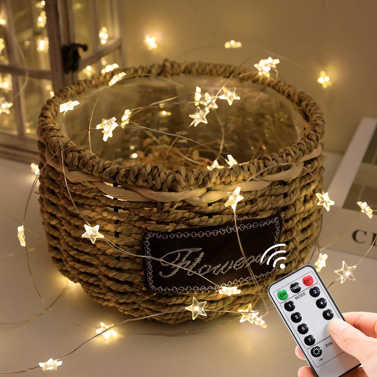 Twinkle Star 40 LED Fairy String Lights - 13ft Waterproof USB & Battery Operated Outdoor/Indoor Lights with Remote Control for Garden, Spring Decor, Bedroom, Party & Festival Decoration | Perfect for Weddings, Christmas, Patio & Backyard Lighting