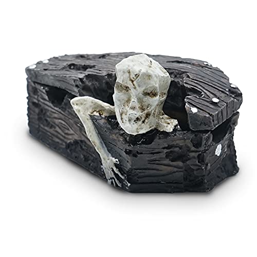 Death Coffin