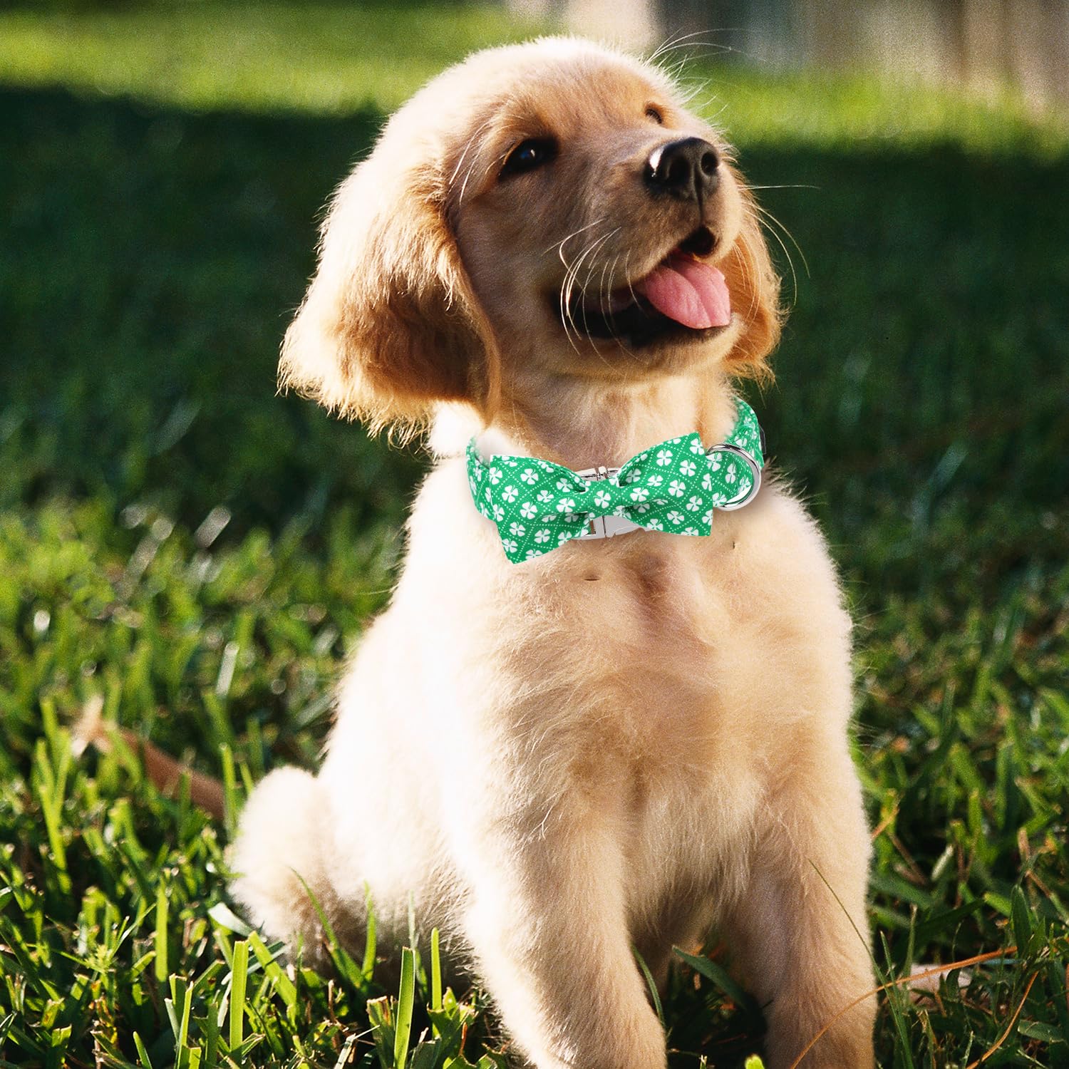 St. Patrick's Day Dog Collar with Adjustable Bow Tie - Irish Clover Shamrock Design in Verdant Green Checkered Pattern for Small, Medium & Large Dogs - Perfect for Puppy, Pet Costume Parties & St. Patrick's Day Celebrations
