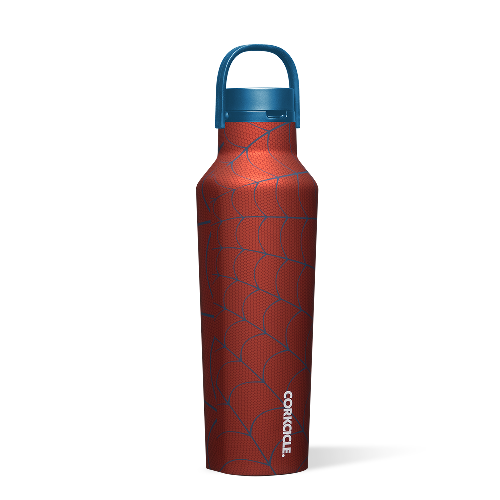 Marvel Superheroes Stainless Steel Sports Water Bottle - Leak Proof & Insulated for Gym, Hiking & Outdoor Adventures