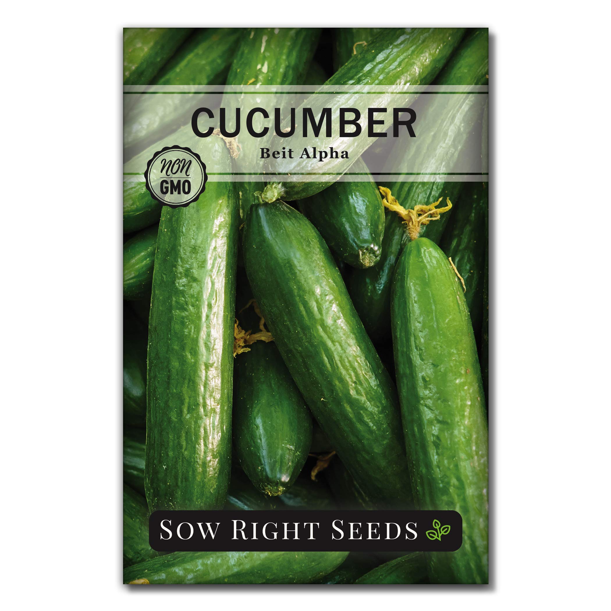 Sow Right Seeds - Non-GMO Heirloom Beit Alpha Cucumber Seeds for Planting - Grow Fresh Cucumbers at Home with Planting Instructions - Perfect for Indoor Starting & Outdoor Trellis Gardening - Great for Salads, Pickling & Healthy Snacks