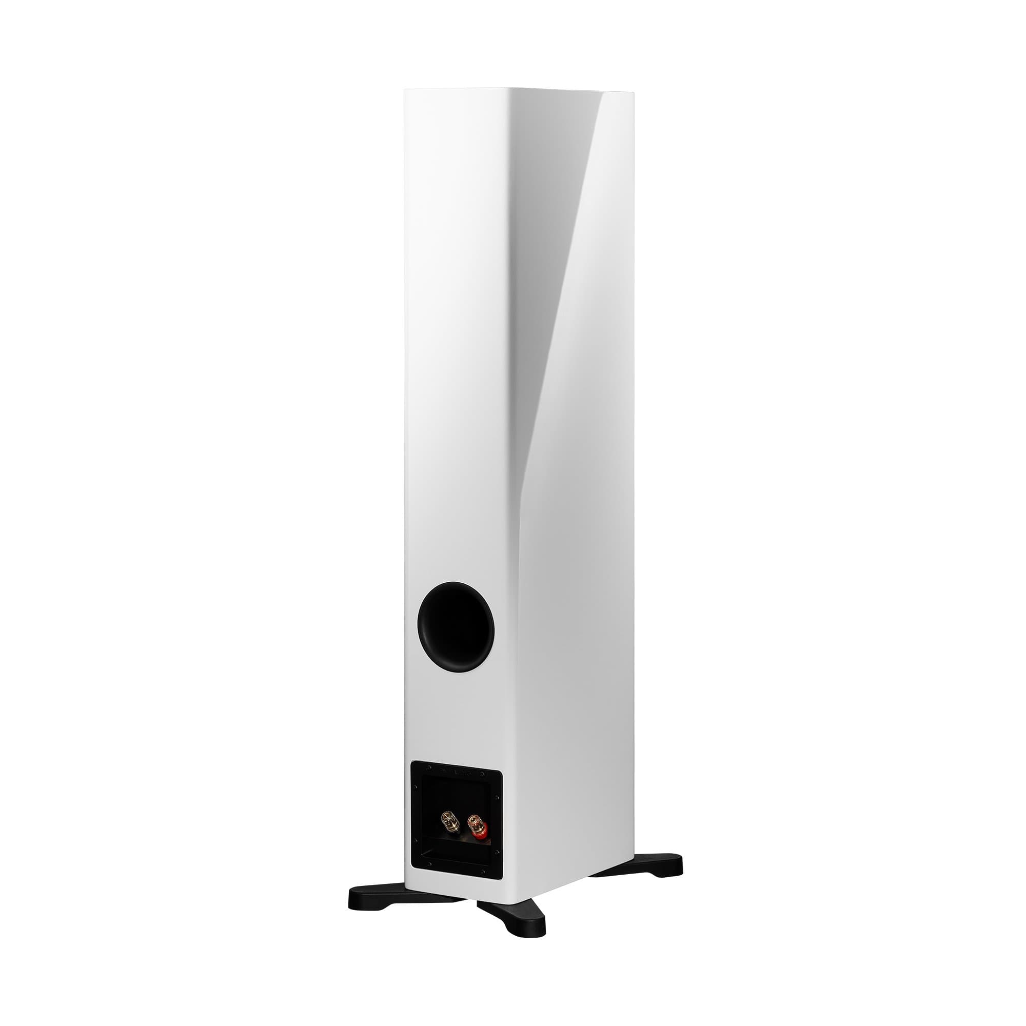 Dynaudio Evoke 30 High-End Floorstanding Speakers - Premium Home Audio System for Music & Movie Theater Experience