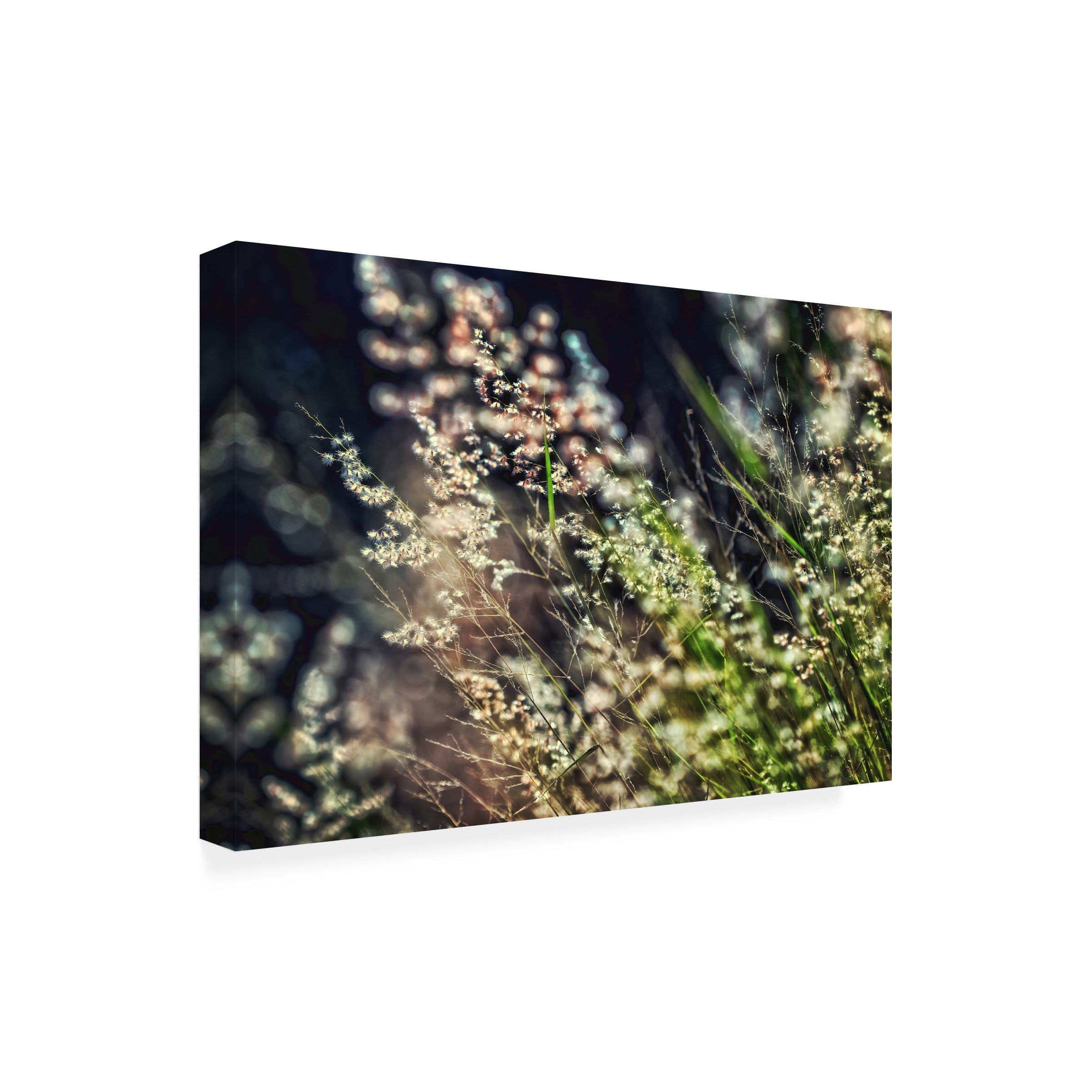 Trademark Fine Art 'Little Garden' Canvas Painting by Beata Czyzowska - Floral Wall Art for Living Room, Bedroom & Office Decor
