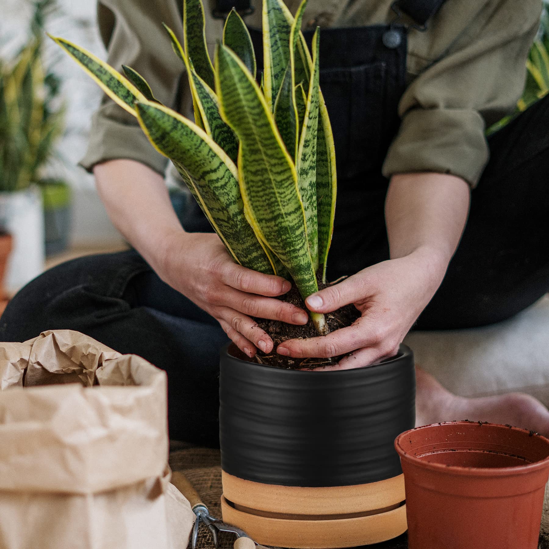6 Inch Ceramic Plant Pots with Drainage Hole & Saucer - Indoor/Outdoor Cylinder Round Planter for Succulents, Herbs, Flowers - Matte Black & Brown Modern Home & Garden Decor