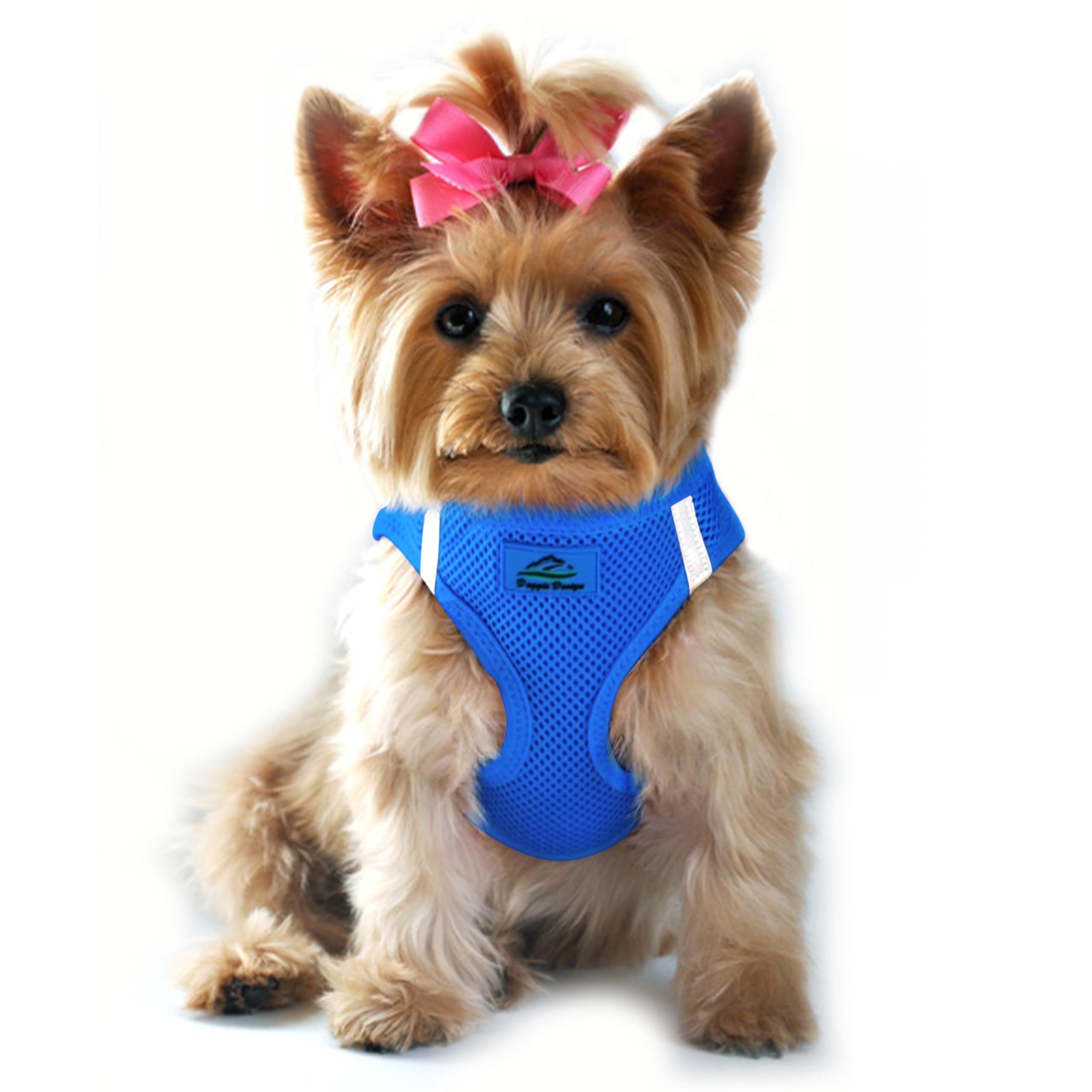 Doggie Design No-Choke Dog Harness - Breathable Mesh Polyester Pet Vest, Easy Step-in Design for Small Dogs - Cobalt Blue XXS | Perfect for Walking, Training & Outdoor Adventures