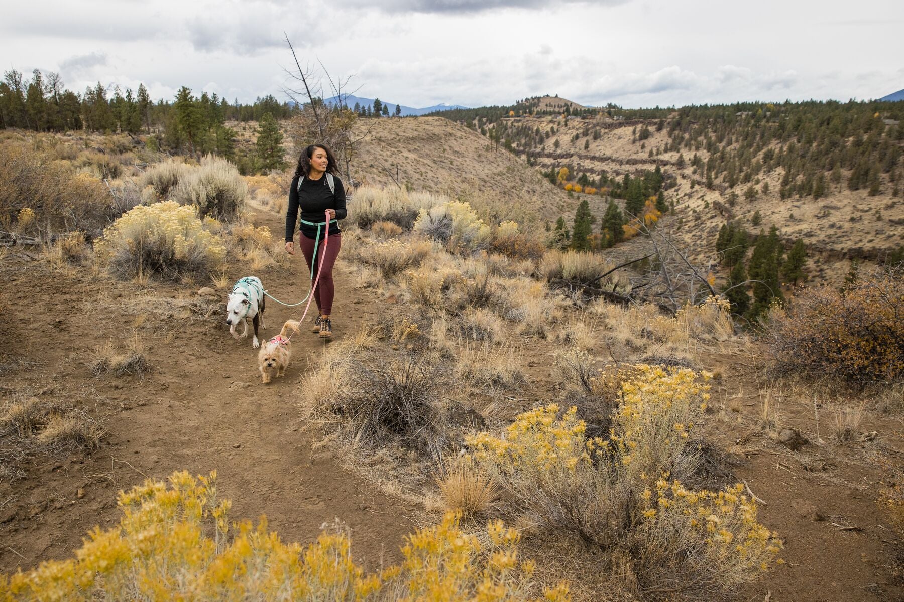 Ruffwear Hi & Light® Ultralight Dog Harness - Blue Dusk | Adjustable & Breathable for Hiking, Running & Outdoor Adventures