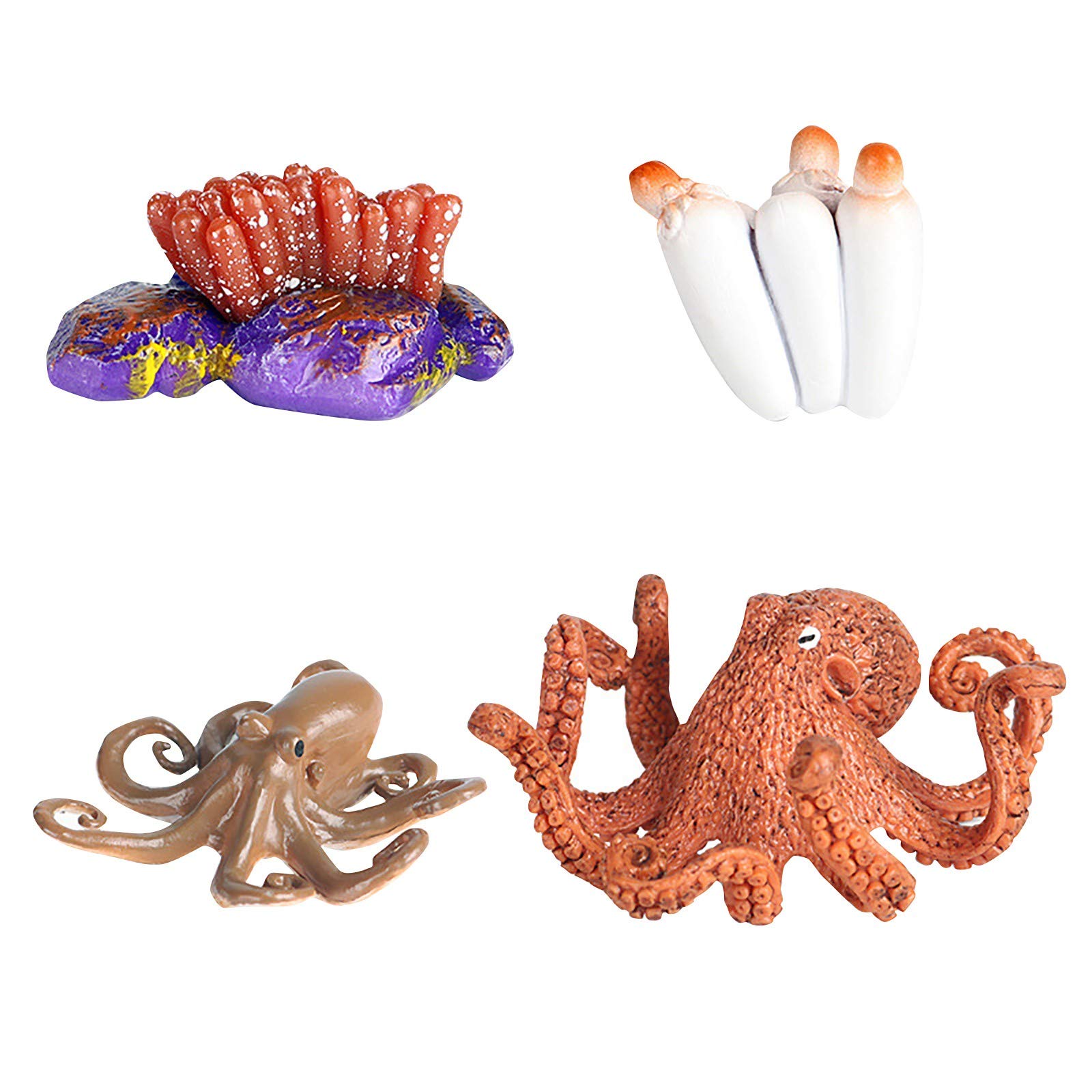Bluecatlala Animal Life Cycle Toys Set - 24PCS Biological Science Figures for Kids Early Education, Montessori Learning & STEM Classroom Activities | Perfect for Homeschooling, Nature Study & Science Projects (Model B)