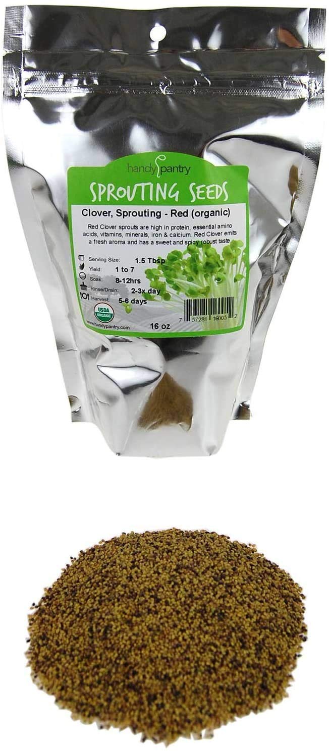 Organic Red Clover Sprouting Seeds - 1 Lb Resealable Bag by Handy Pantry | Non-GMO, High Germination Rate for Sprouts, Microgreens & Hydroponics | Perfect for Home Gardening, Healthy Salads & Food Storage