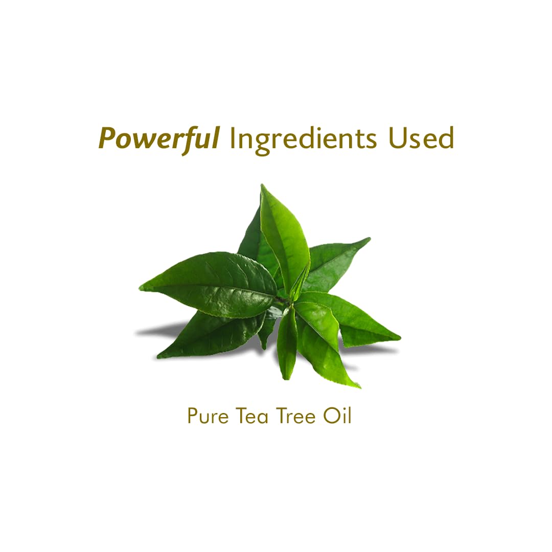 Inveda Pure Tea Tree Essential Oil for Acne-Prone Skin | Anti-Acne Treatment with Natural Tea Tree Extract | Reduces Pimples, Calms Skin & Fades Scars | 10ml Bottle | Perfect for Facial Care, Aromatherapy & DIY Skincare