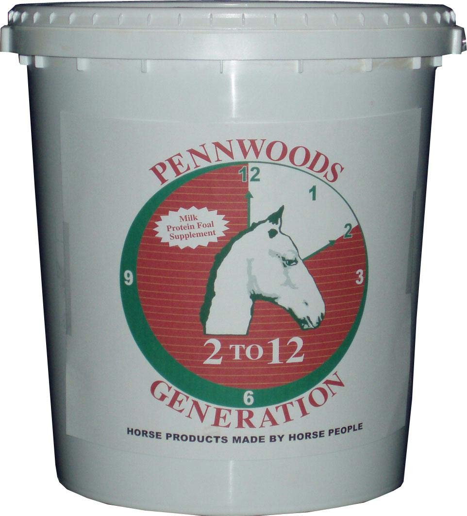 Premium Horse Grooming Kit for All Breeds - 2 to 12 Year Equine Care Essentials | Perfect for Daily Brushing, Show Preparation & Stable Maintenance