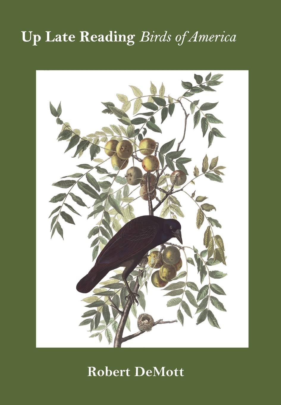 Up Late Reading Birds of America: Prose Poems - Perfect for Nighttime Reading & Literary Enthusiasts | American Poetry Collection for Book Lovers, Bedtime Stories & Relaxation