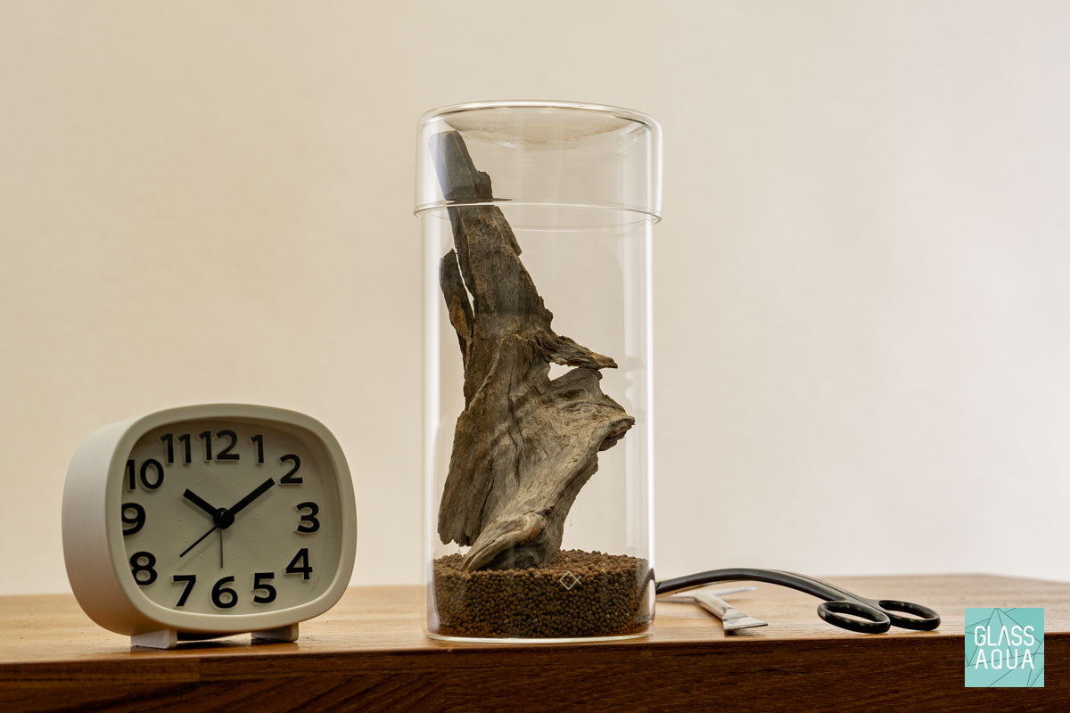 Miniature Terrarium Kit for DIY Home Decor - Create Your Own Tiny Garden in Glass Jar | Perfect for Office Desk, Living Room & Gift Giving