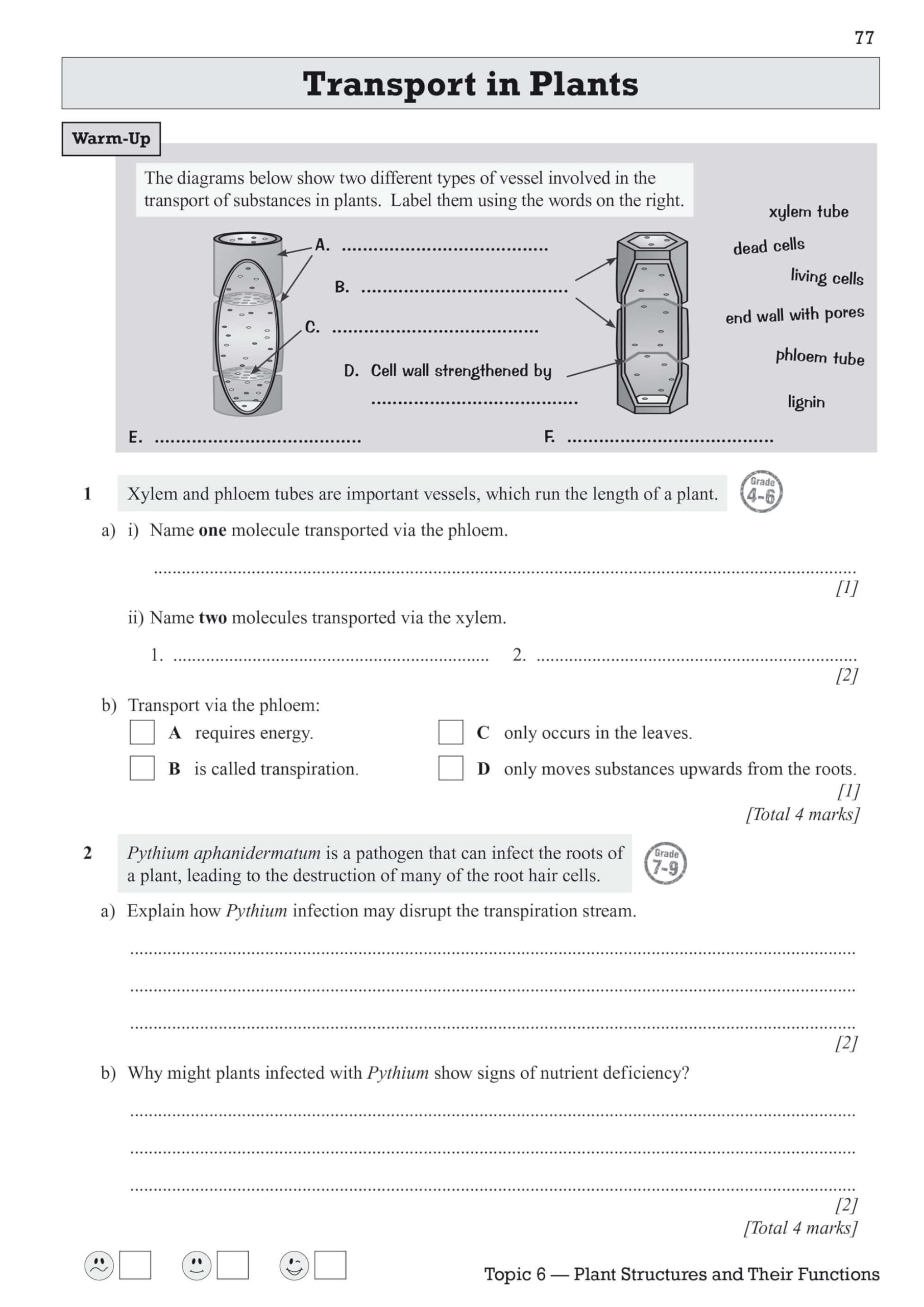 GCSE Biology Edexcel Exam Practice Workbook with Answers - CGP Edexcel GCSE Biology Study Guide for 2025 & 2026 Exams | Perfect for Home Study, Classroom Revision & Exam Preparation