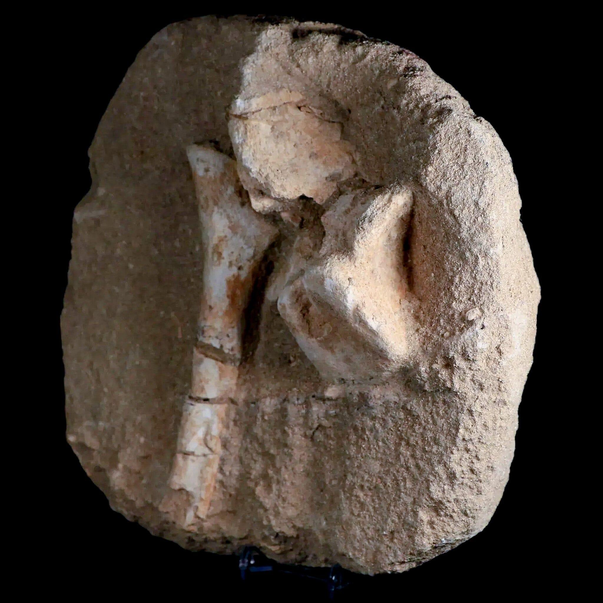 8 Genuine Cretaceous Age Crocodile Fossil Vertebrae & Bones from Morocco - Perfect for Paleontology Collectors, Museum Displays & Educational Use