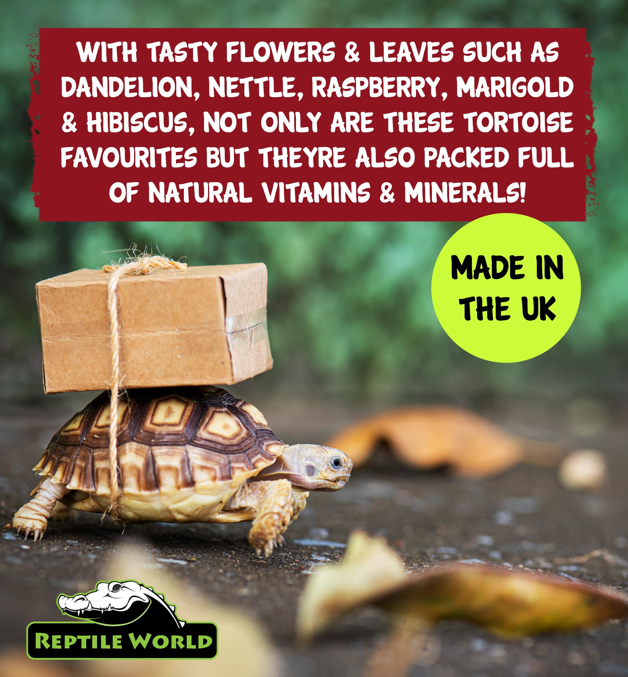 Premium 10L Reptile Tortoise Edible Bedding - Natural Readi Grass, Flowers & Leaves for Healthy Digestion | Safe Botanical Substrate for Terrariums, Habitats & Pet Enclosures