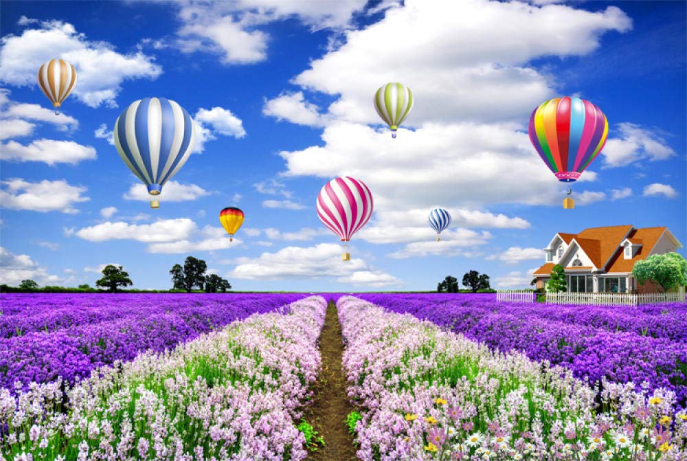 5000 Piece Jigsaw Puzzle - Romantic Lavender Field with Balloons, Challenging Adult Puzzle for Stress Relief & Family Game Night | Perfect Gift for Puzzle Lovers & Home Decor