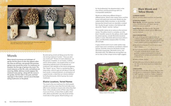 The Complete Mushroom Hunter Guide - Foraging, Identifying & Cooking Wild Mushrooms | Perfect for Outdoor Enthusiasts & Nature Lovers