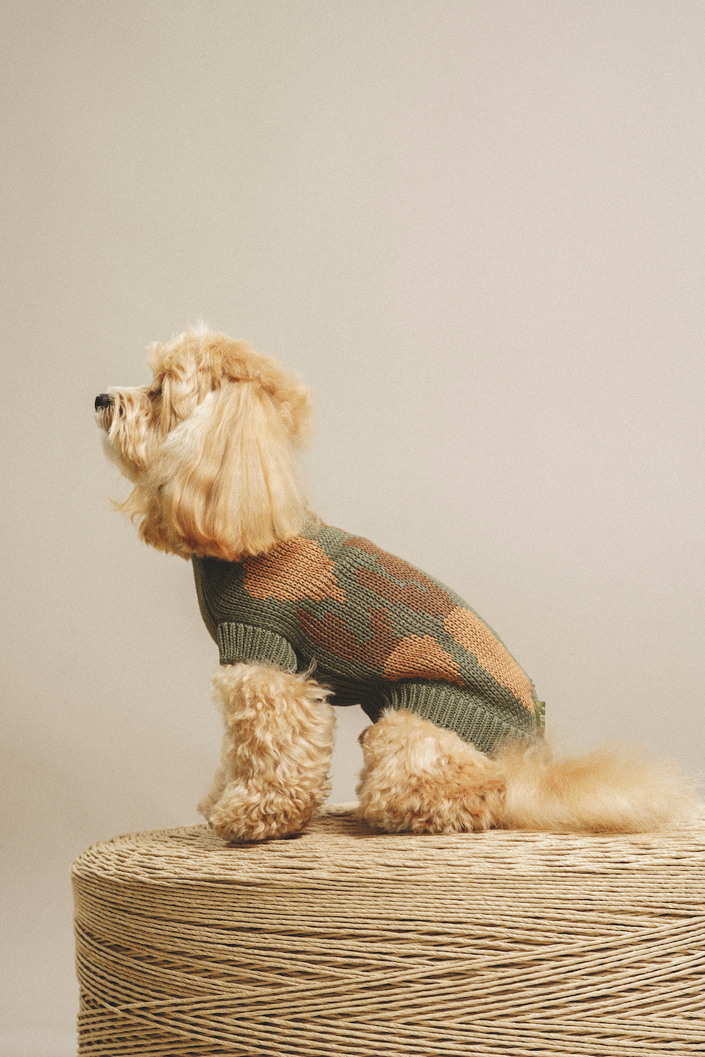 Dog Cardigan Sweater - Soft Pony Cotton Knit for Small Dogs - Cozy Winter Wear for Indoor & Outdoor Use