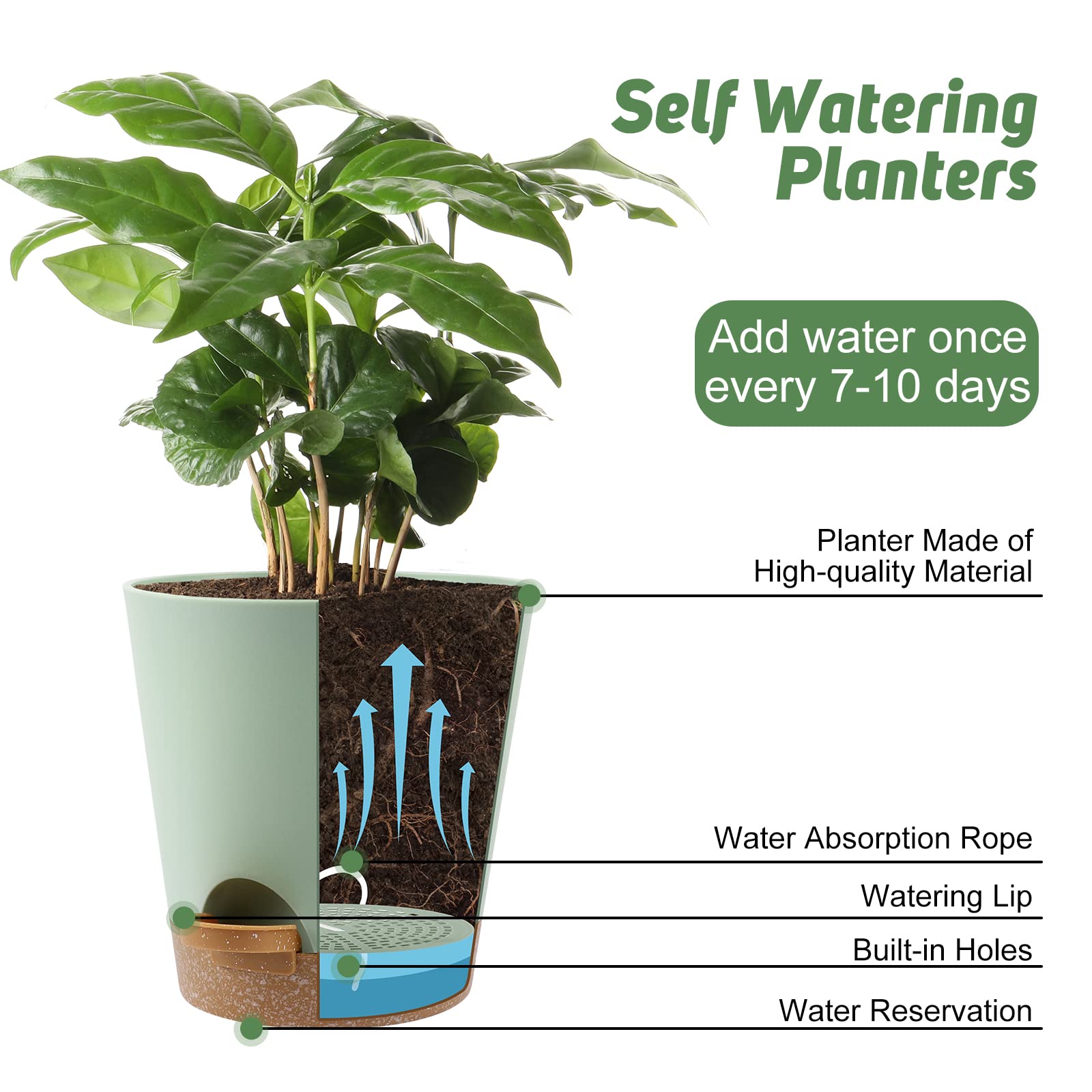 Self Watering Plant Pots with Drainage Holes & Saucers - 5 to 8 Inch Indoor Flower Planters (Set of 6, Green) - Perfect for Home Decor, Office Plants, Herb Gardens & Succulent Arrangements