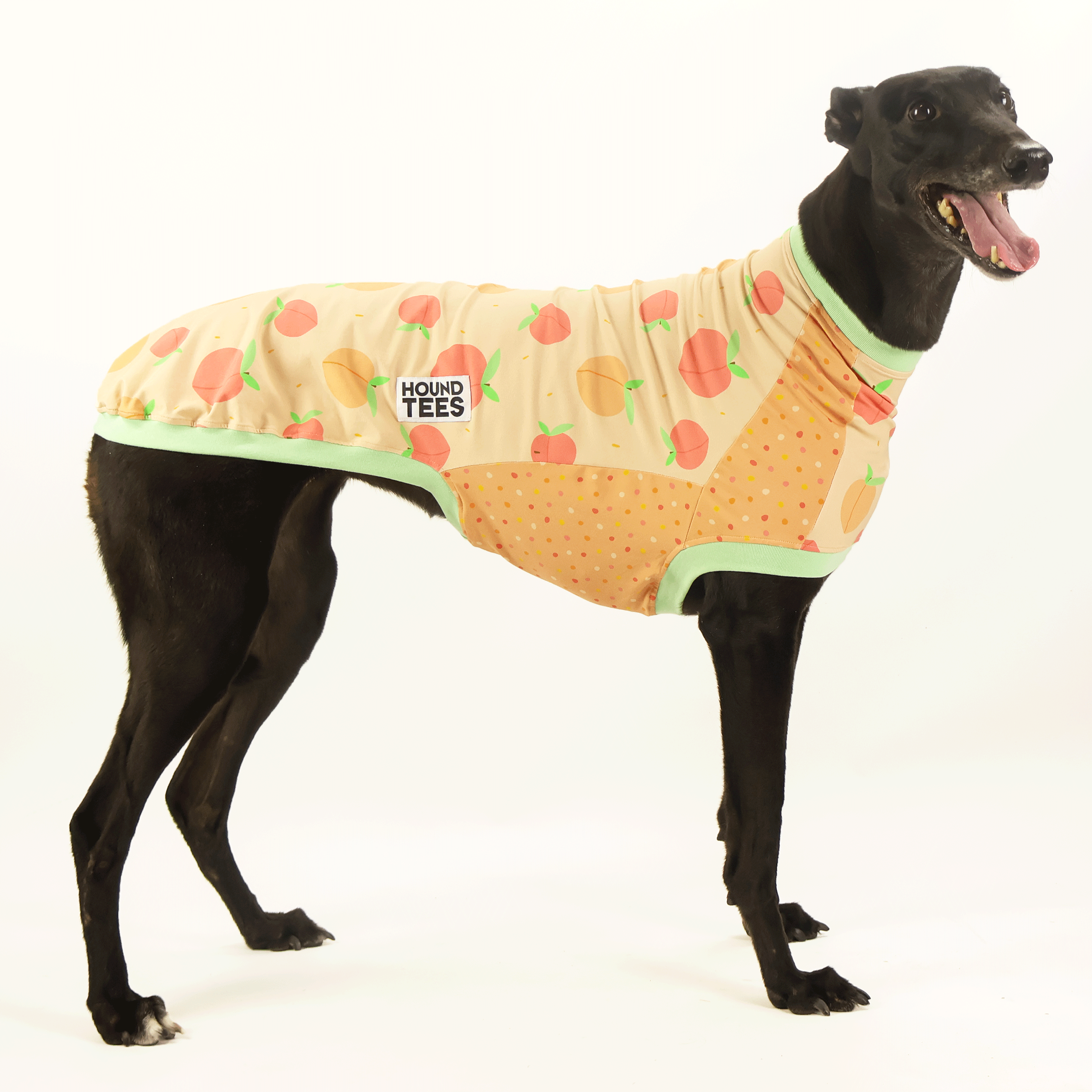 Peaches Whippet Sleeveless Hound T-Shirt - Cute Dog Lover Apparel for Summer & Casual Wear