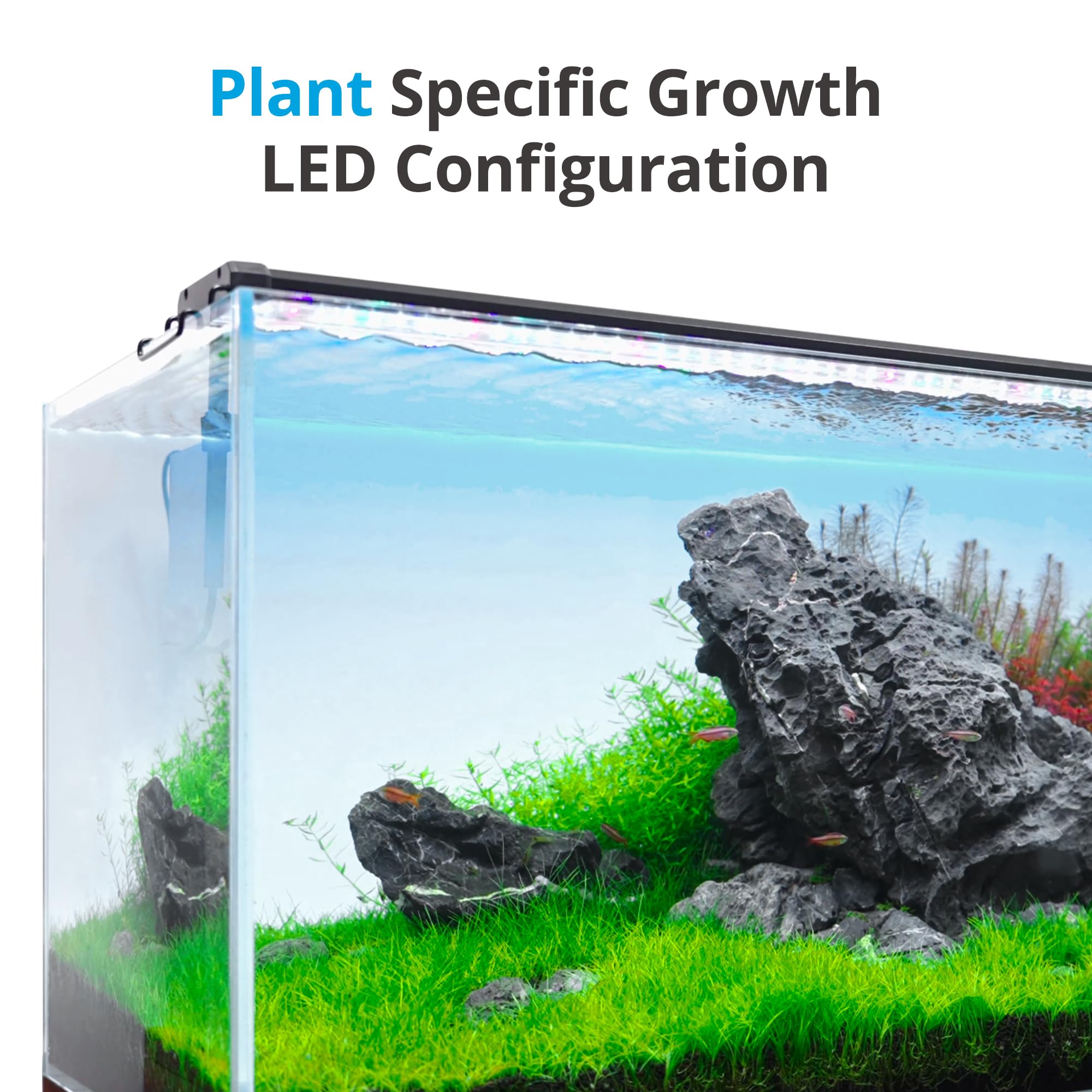 NICREW ClassicLED Plus 15W LED Aquarium Light with Timer for 18-24 Inch Fish Tanks - Adjustable Brightness, Daylight & Moonlight Cycle - Perfect for Freshwater & Saltwater Aquariums, Planted Tanks & Coral Reefs
