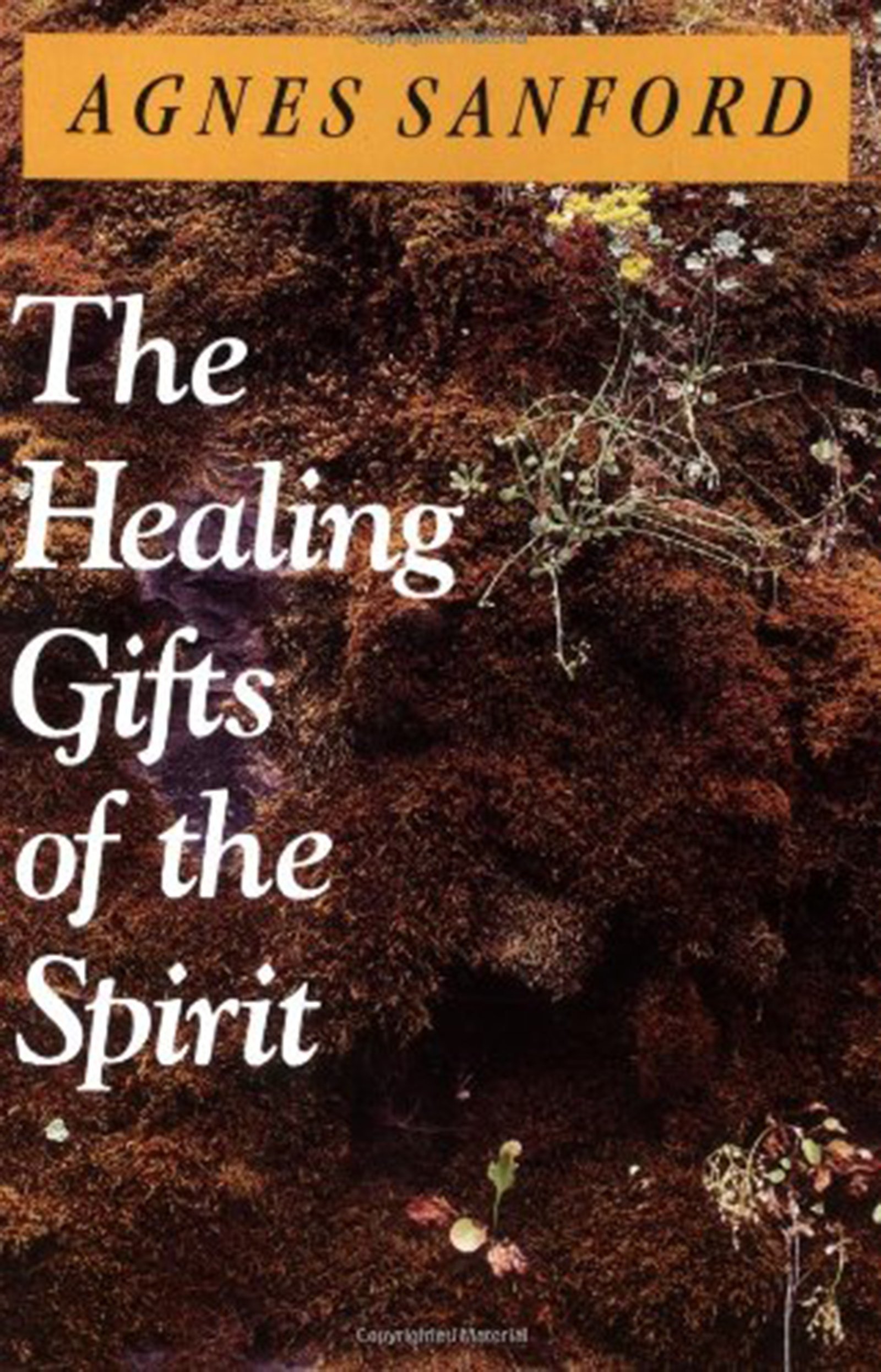 The Healing Gifts of the Holy Spirit - Christian Spiritual Growth Books for Bible Study & Prayer - Perfect for Personal Devotion & Small Group Discussions