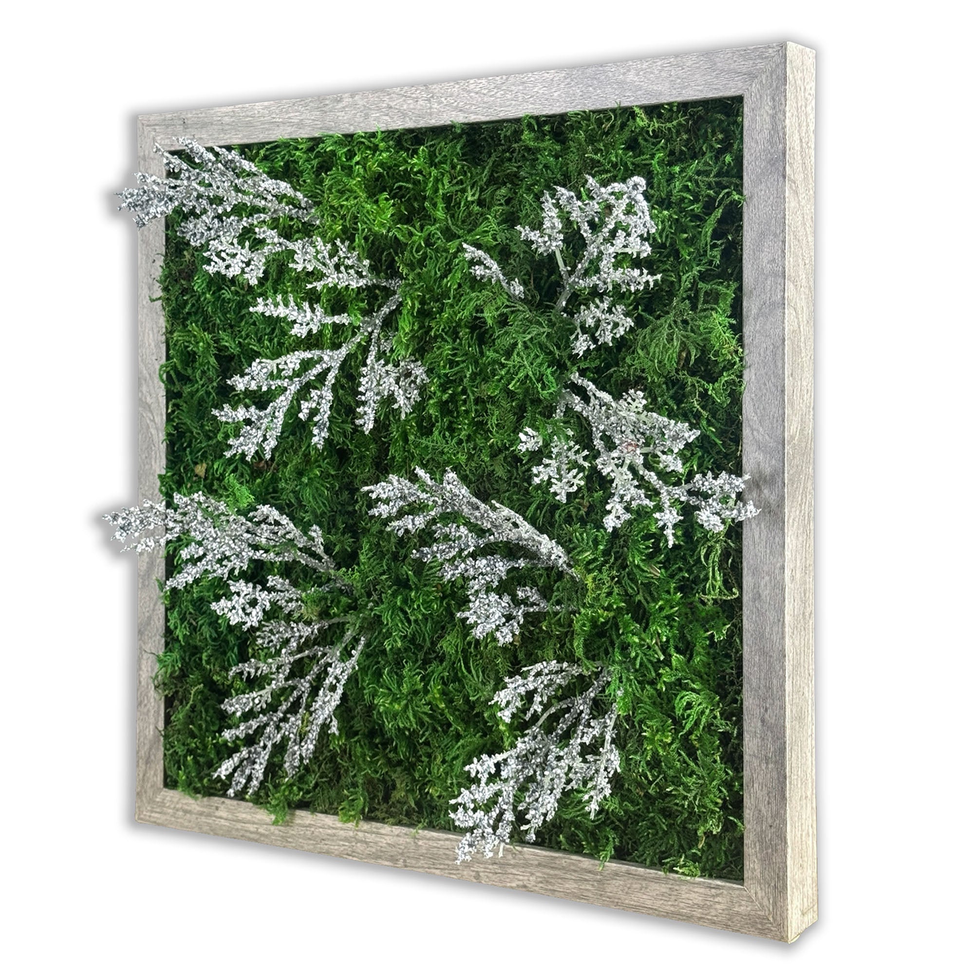 Preserved Moss Miniature Wall Art - Natural Home Decor for Living Room, Bedroom & Office - Eco-Friendly DIY Craft for Small Spaces