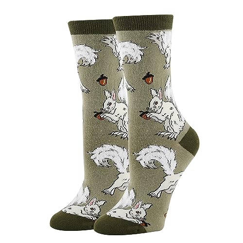 White Fox Squirrel